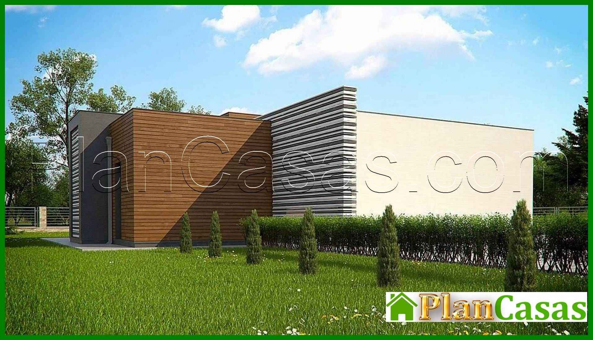 Visualization gallery - One-story modern mansion for a narrow plot