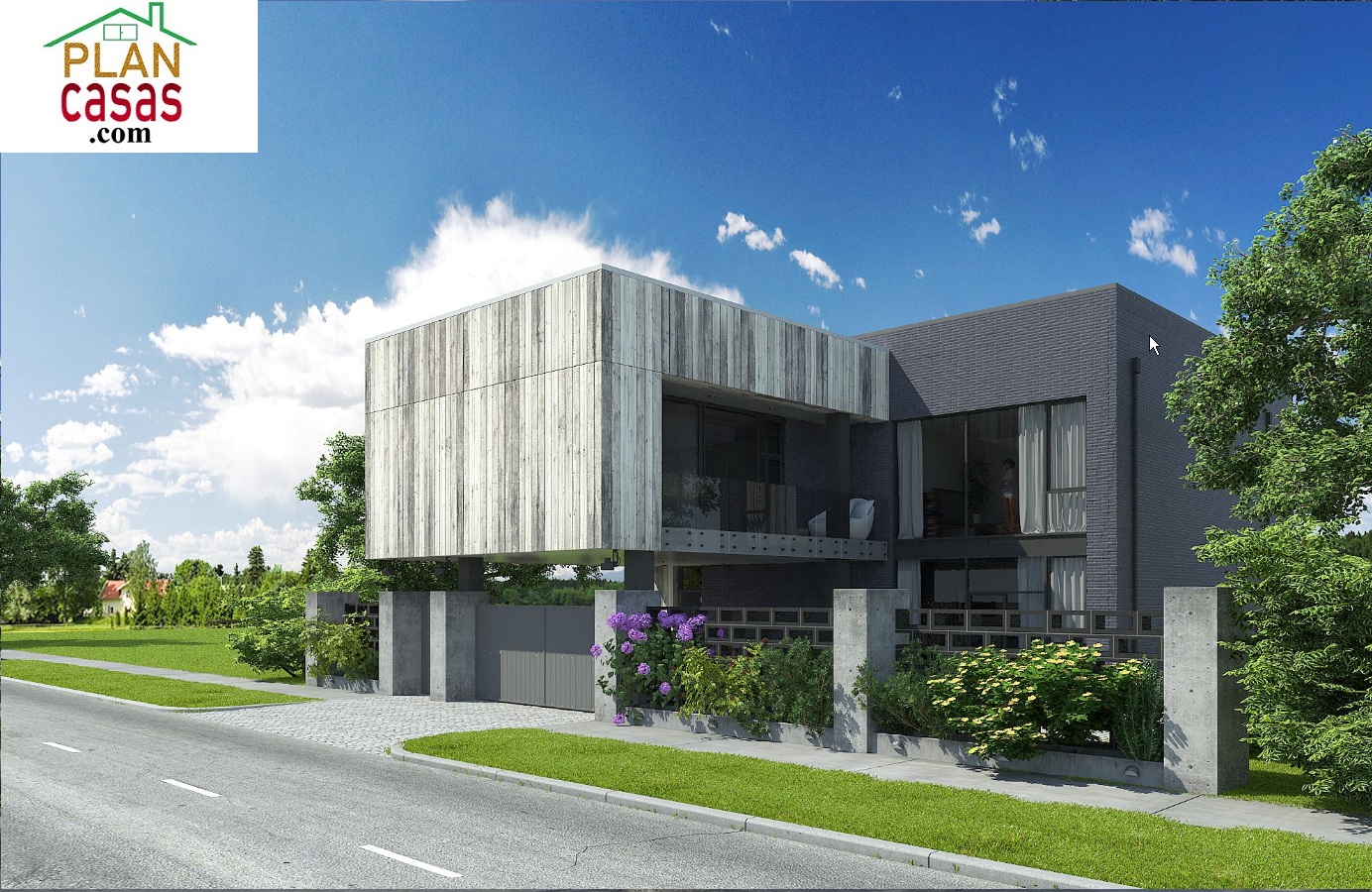 Modern house house plan