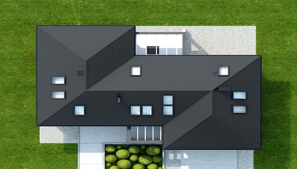 Visualization gallery - The project of a chic mansion with a unique layout