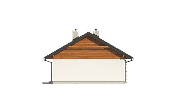 Visualization gallery - Design of a one-storey 3-bedroom cottage for a narrow plot