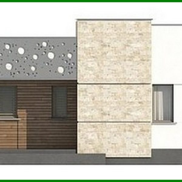 372. The project of a one-story cottage in a modern style