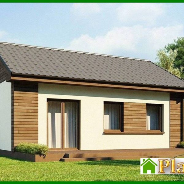 591. The project of a small one-story economical house with a gable roof
