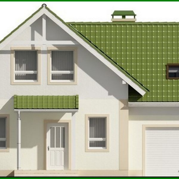726. One-storey house project with attic, garage and green roof