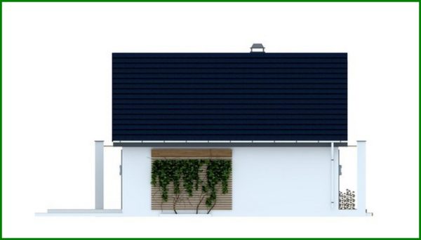 809. Single-storey house project with an additional frontal terrace